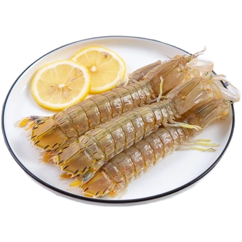 皮皮虾鲜活特大超大海鲜水产海虾琵琶虾即食虾爬子新鲜北海濑尿虾