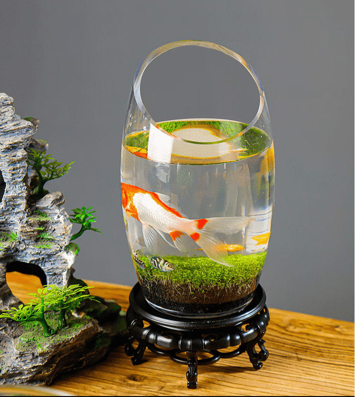 微景观创意桌面生态鱼瓶鱼缸圆形玻璃金鱼缸水培微景观绿植套装造景鱼