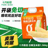 十月稻田 【2024 新玉米上市】东北玉米 鲜食白糯玉米 1.56kg*1袋 240g*6根