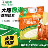 十月稻田   白糯玉米260g*8根 东北糯玉米棒 苞米 2.08kg*2袋
