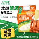 十月稻田   白糯玉米260g*8根 东北糯玉米棒 苞米 2.08kg*1袋