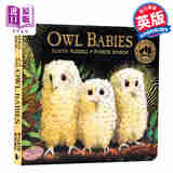 预售 廖彩杏推荐书单 猫头鹰宝宝 Owl Babies 英文原版 小猫头鹰 纸板书 撕不烂