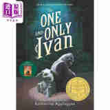 预售 纽伯瑞：只有一个伊凡 The One and Only Ivan 英文原版 儿童章节书 文学小说故事书 精品儿童读物纽伯瑞儿童文学