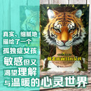 【官方直营】来自星星的孩子系列 戴老虎面具的女孩+隐形的朋友 孤独症女孩敏感渴望理解温暖心灵世界 不回避迎向光亮成长历程儿童文学心理书籍 接力出版社正版 戴老虎面具的女孩