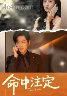 命中注定(短剧版)