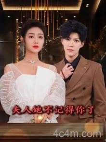 夫人她不记得你了