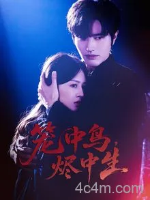 笼中鸟，烬中生