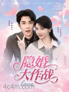隐婚大作战