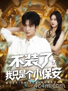 不装了我只是个小保安