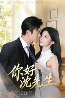 你好沈先生