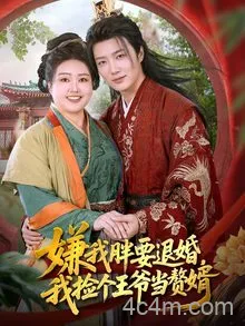 嫌我胖要退婚我捡个王爷当赘婿