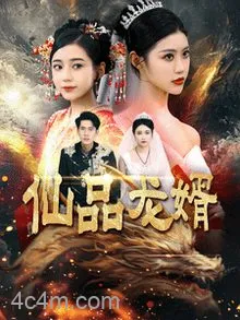 仙品龙婿