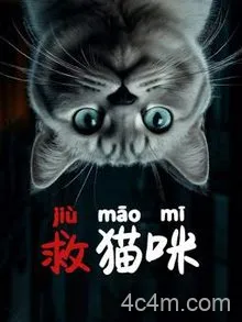 救猫咪