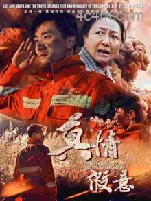 真情假意