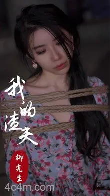 我的渣夫柳先生