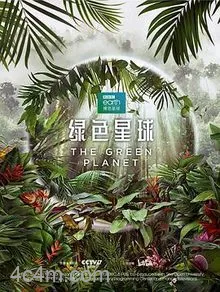 绿色星球2022