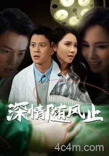 深情随风止