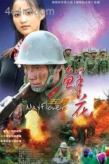 五月的鲜花电影解说