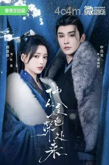 他从夜色深处来