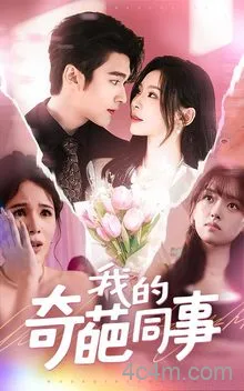 我的奇葩同事