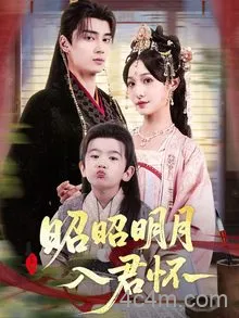 昭昭明月入君怀