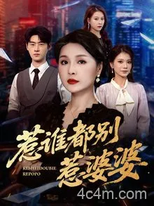 惹谁都别惹婆婆