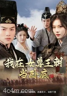 我在女尊王朝当卧底
