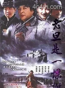老旦是一棵树电影解说