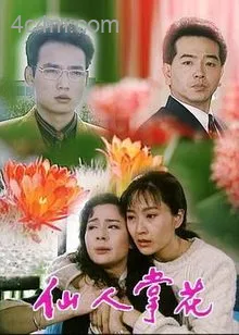 仙人掌花