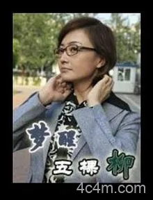 梦醒五棵柳电影解说