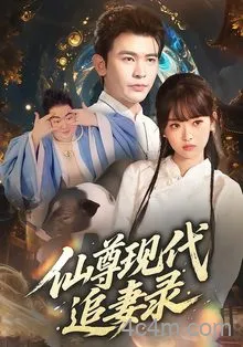 仙尊现代追妻录