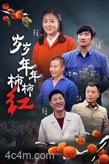 岁岁年年柿柿红电影解说