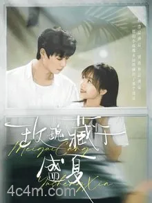 玫瑰藏于盛夏
