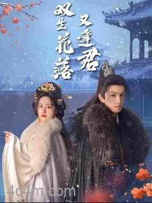 双生花落又逢君