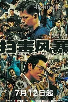 扫毒风暴剧版