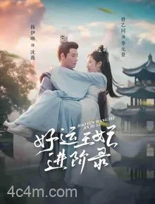 好运王妃进阶录