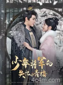 少年将军的失忆小青梅