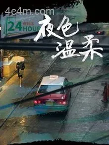 夜色温柔2025