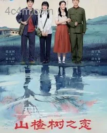 山楂树之恋2025