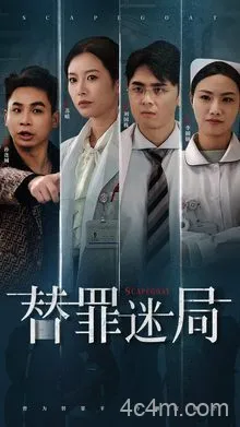 替罪迷局