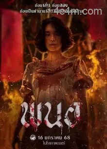 黑煞女