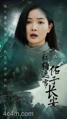 红梅遮雪佑子长安