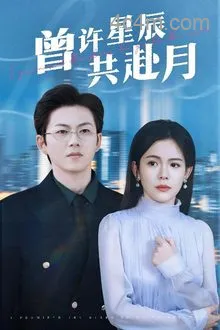曾许星辰共赴月