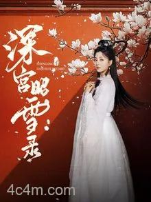 深宫昭雪录