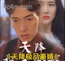 天降极品豪婿