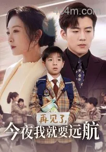 再见了今夜我就要远航