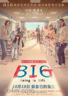 816电影解说