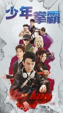 少年拳霸
