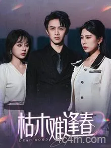 枯木难逢春