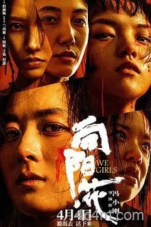向阳花